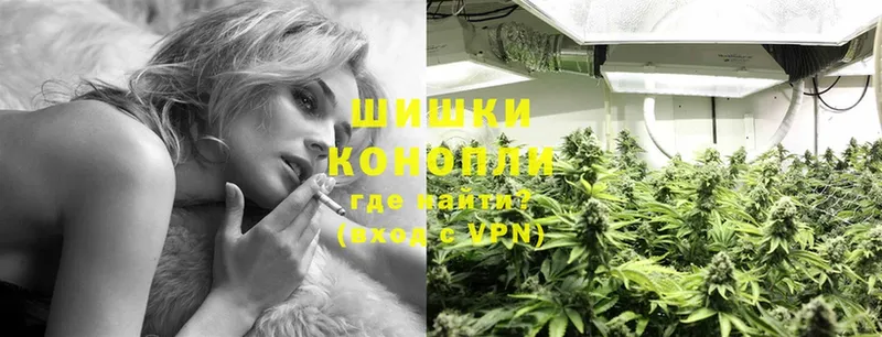 мега маркетплейс  купить наркотики сайты  Кириллов  Каннабис ГИДРОПОН 